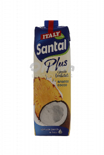 00-00022884 Բն. հյութ «Santal»  կոկոս արքայախնձոր 1լ  1050.jpg