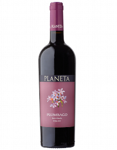 00-00033944 Գինի «Planeta Plumbago» կարմիր, չոր 750մլ