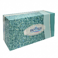 00-00025761   Անձեռոցիկ «Papyrus» Water երկշերտ տուփով 200h.jpg