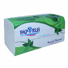 00-00000539 Անձեռոցիկ «Papyrus» մեծ երկշերտ դեմքի 220հատ.jpg