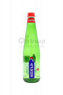 00-00033131  Հանքային ջուր «Տատնի» 500մլ ա/տ