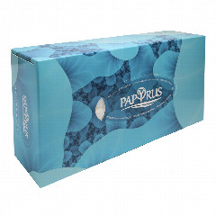 00-00000542   Անձեռոցիկ «Papyrus» եռաշերտ երկար 70հատ.jpg