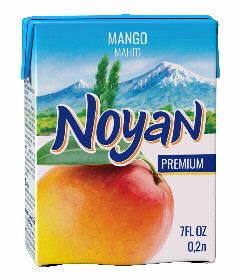 00-00053354 Բնական հյութ «Noyan» մանգո 200մլ