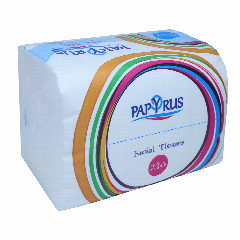 00-00025752  Անձեռոցիկ «Papyrus» երկշերտ 220հատ.jpg