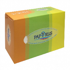00-00000540   Անձեռոցիկ «Papyrus» sun եռաշերտ 100հատ.jpg